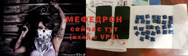 мдпв Гусев